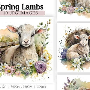 Pasen lammeren aquarel clipart bundel, lente bloemen sublimatie achtergronden, 10 hoge kwaliteit JPG-afbeeldingen, commercieel gebruik