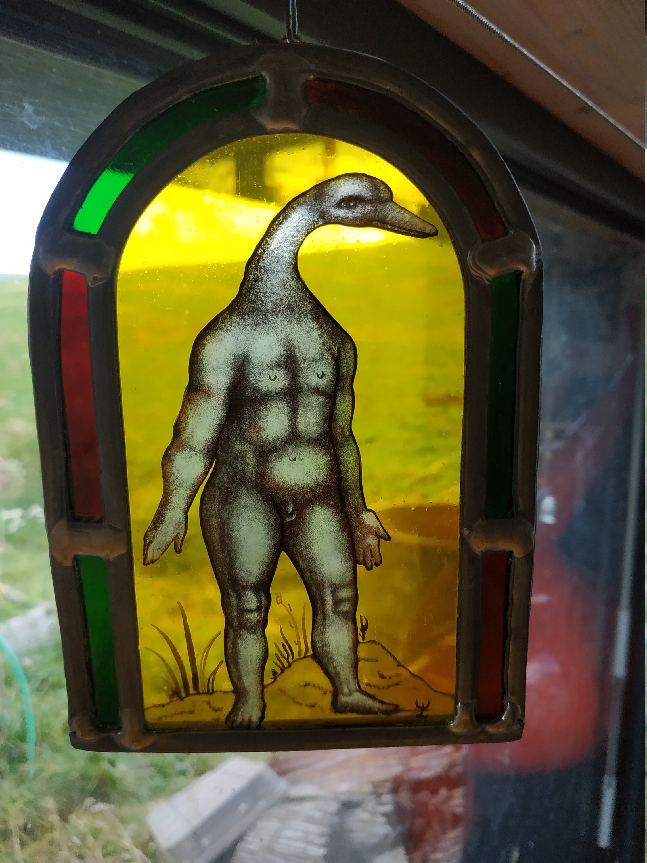 Vitrail Homme Canard Fortunio Liceti