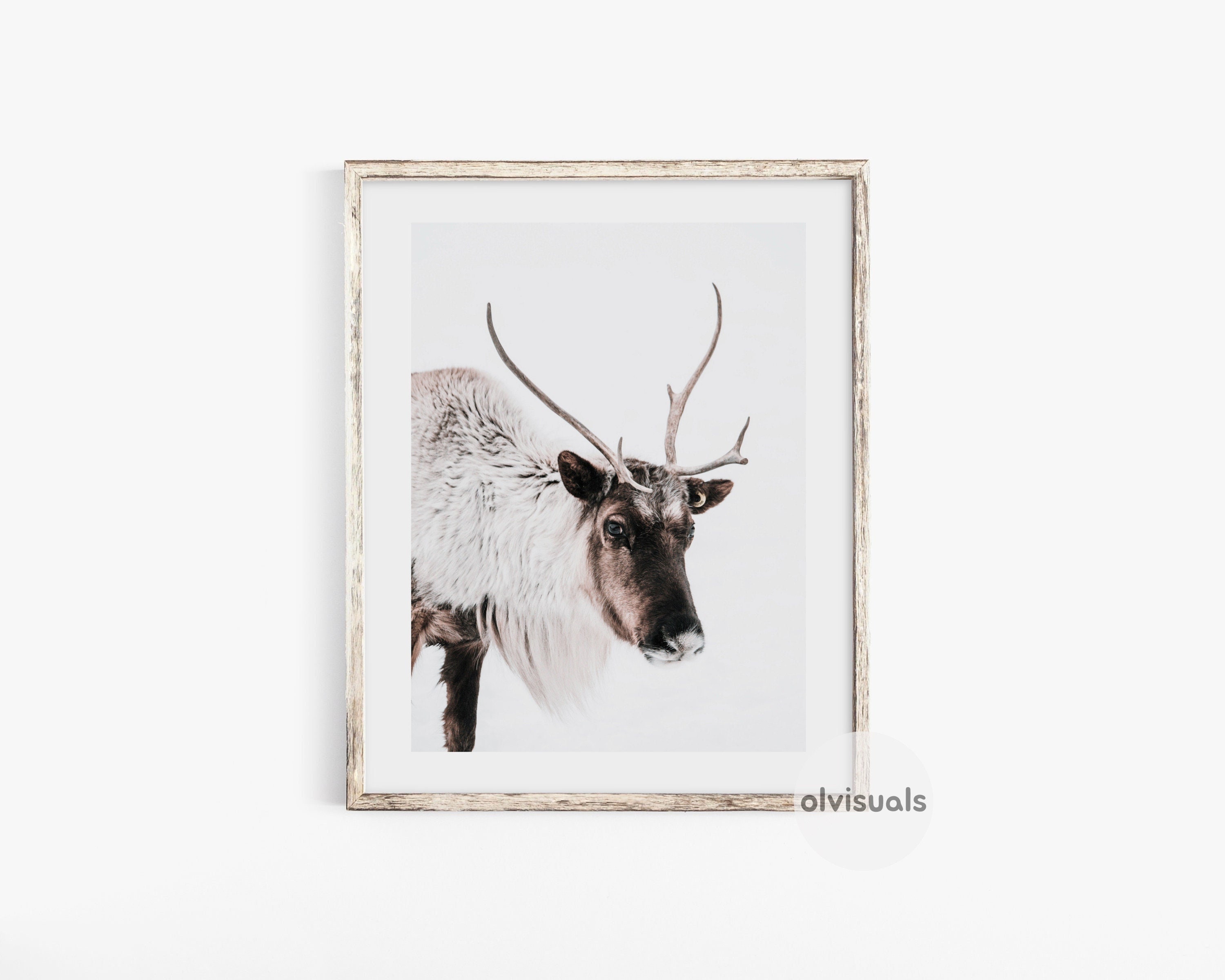 Black and White Reindeer Art Poster -  Canada