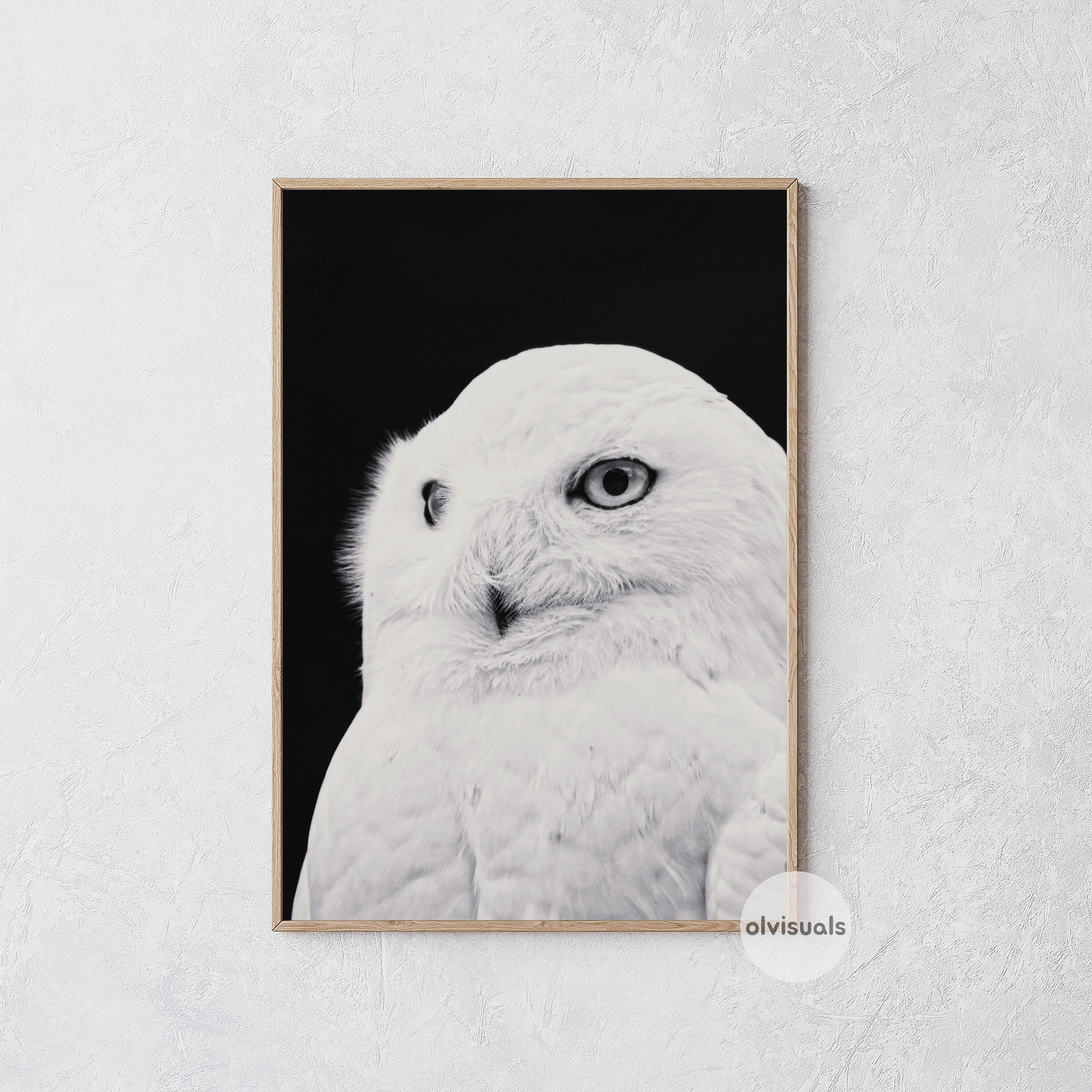 Owl Wall Art Owl Printable Owl Photography Owl Poster Black Etsy