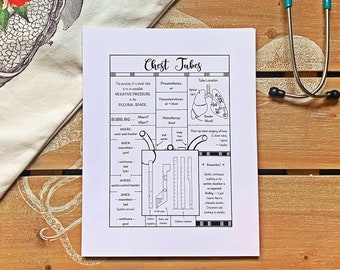 Order of Draw Reference Guide PDF | Phlebotomy Blood Tube Color Chart | Nursing & Lab Tech Printable | Digital Download