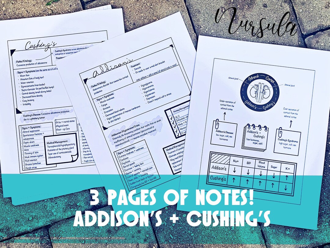 Addison’s + Cushing’s Notes - Etsy