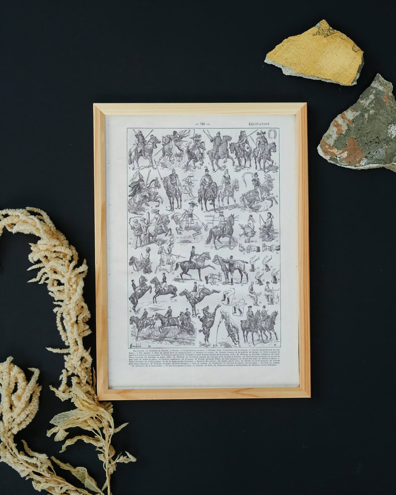 Illustration Ancienne sur L'équitation. Document Original Vieux de 100 Ans Belle Décoration Murale