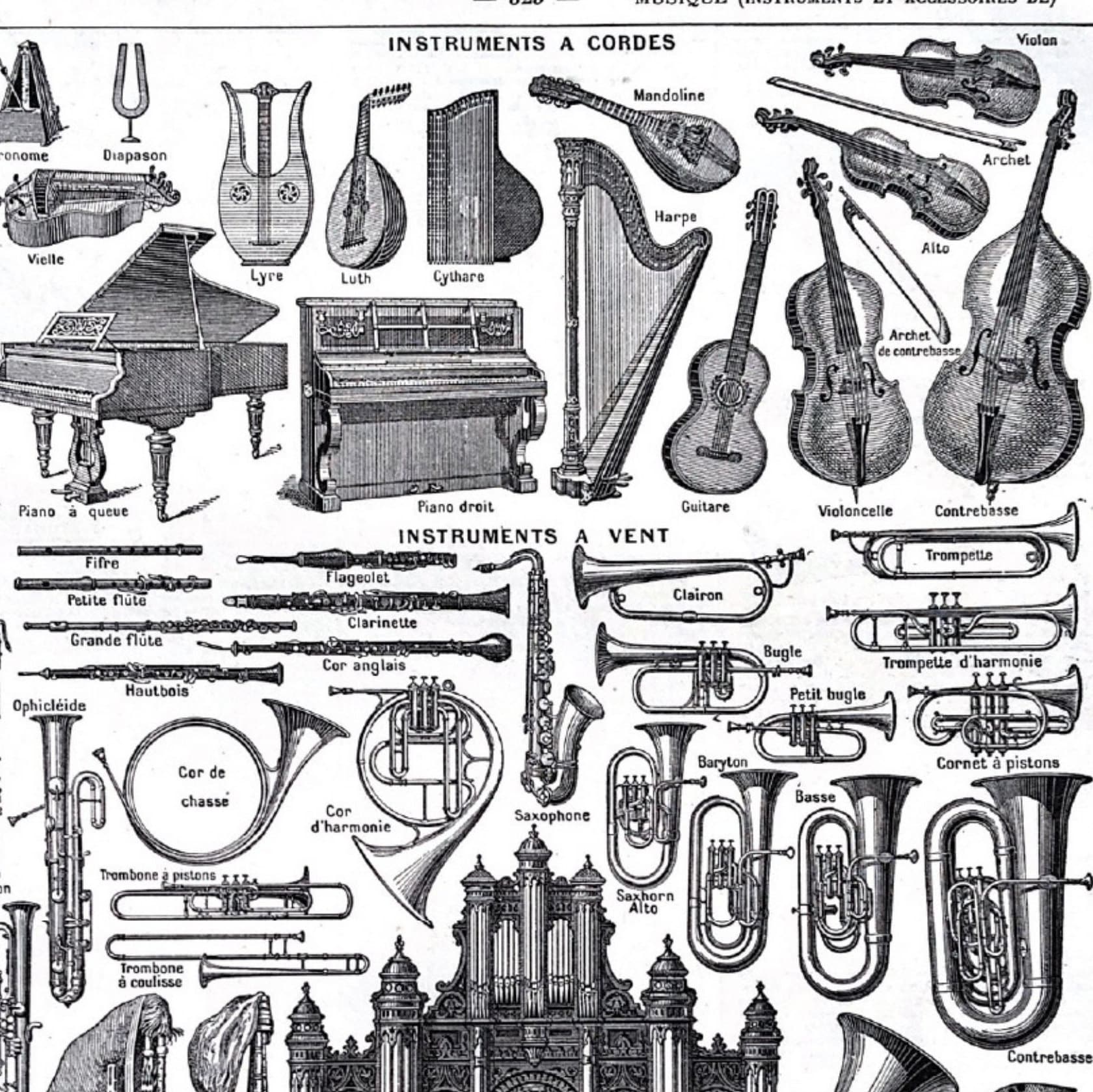 Music Instruments French Vintage Illustration. 100 Years Old