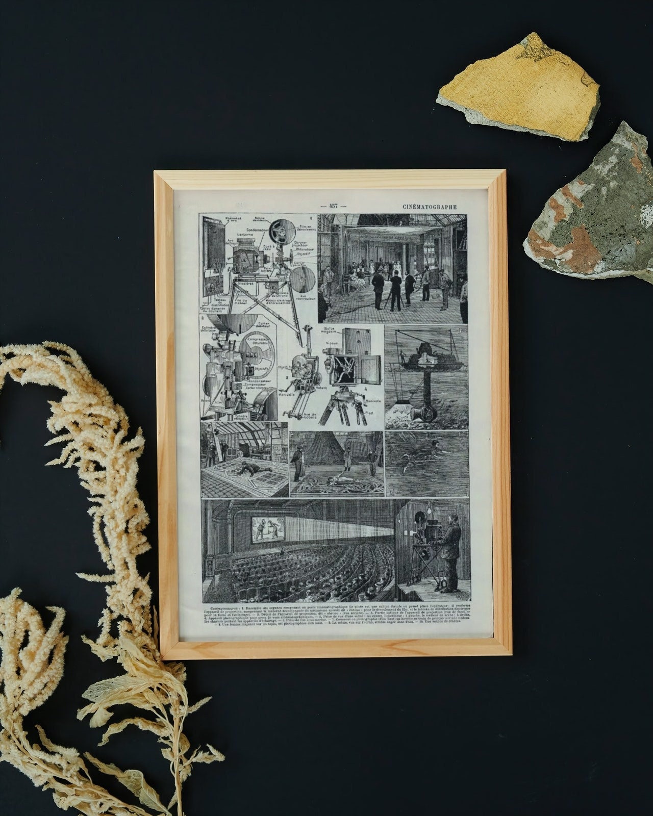 Illustration Ancienne Cinema. Document Original Vieux de 100 Ans Décoration Murale Chic et Élégante