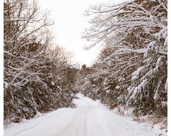 A Canadian Winter 2