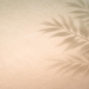 Natural Light Shadow Overlay Photography Background Set