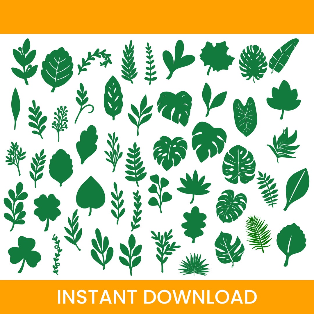 Leaves Svg Leaf Svg Paper Flower Leaves Svg Leaf Templates Etsy