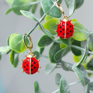 Marienkäfer Ohrringe, Insekten Schmuck, Marienkäfer Geschenk