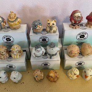 May include: A collection of ceramic salt and pepper shakers in various animal and character designs. The shakers are arranged on boxes with the text "Pot Belly's Salt & Pepper Shakers".