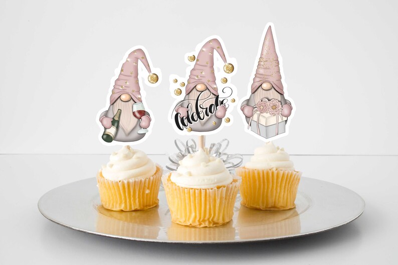Birthday Gnomes Cupcake Toppers Gnome Party Decoration Etsy