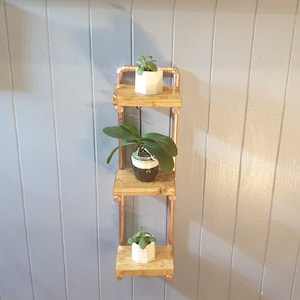 May include: A three-tiered copper pipe shelf with wooden shelves. The shelves are decorated with potted plants, including a succulent and an orchid.