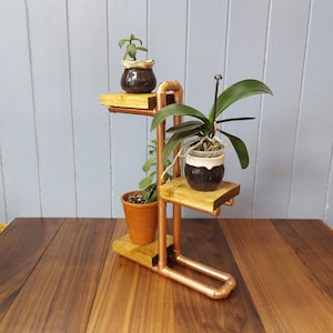 May include: A copper pipe plant stand with three wooden shelves. The stand is holding three potted plants, one with a white ceramic pot, one with a brown ceramic pot, and one with a clear glass pot. The stand is on a wooden surface.