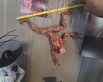 Könnte beinhalten: Eine detaillierte, rötlich-braune, muskulöse Figur, etwa 18 cm lang, wird gezeigt. Die Figur ist in einer hängenden Position dargestellt. Der Hintergrund umfasst Kunstwerke einer Frau in einem roten Kleid und einer Frau in einem weißen Kleid mit einem großen schwarzen Hut.