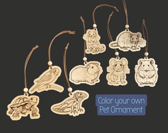 Color Your Own Pet Ornament – DIY Wood Pet Ornament, Customizable Small Pet Ornament, Paint Your Pet Keepsake, Personalized Pet Gift