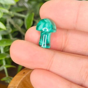 Mini hongo de malaquita, hongo de cristal de malaquita verde, amuleto de malaquita, cristal verde, núcleo blando de cabaña, mineral de malaquita natural