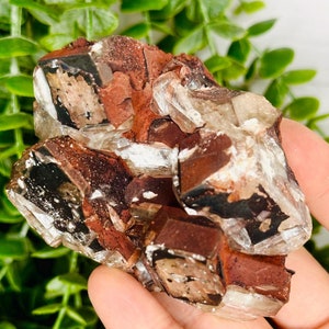 SCHÖNE Schokoladencalcit-Probe, funkelnder Schokoladencalcit-Kristall, reiche Schokoladencalcit, Calcit-Cluster-Probe, Wohnkultur