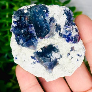 Muestra de fluorita de arándano sobre cuarzo vela, fluorita azul rara con rutilo, minerales naturales, regalos de cristales, decoración del hogar, gemas coleccionables