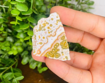 RARE Druzy 8th Vein Ocean Jasper Freeform, Ocean Jasper 8th vein Freeform Joy, harmony, and positive energy, Crystal Freeform, Crystal Decor