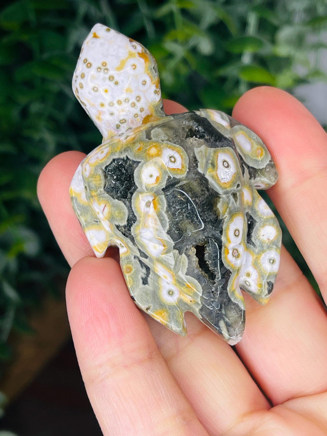 RARE Druzy 8th Vein Ocean Jasper Turtle Carving, Hand Carved 8th Vein ...