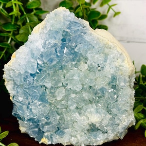XXL 3lb Celestite Crystal Cluster, Raw Celestite Geode, Large Celestine Stone, Blue Crystal, Calming Energy, Crystal Decor, Home Decor