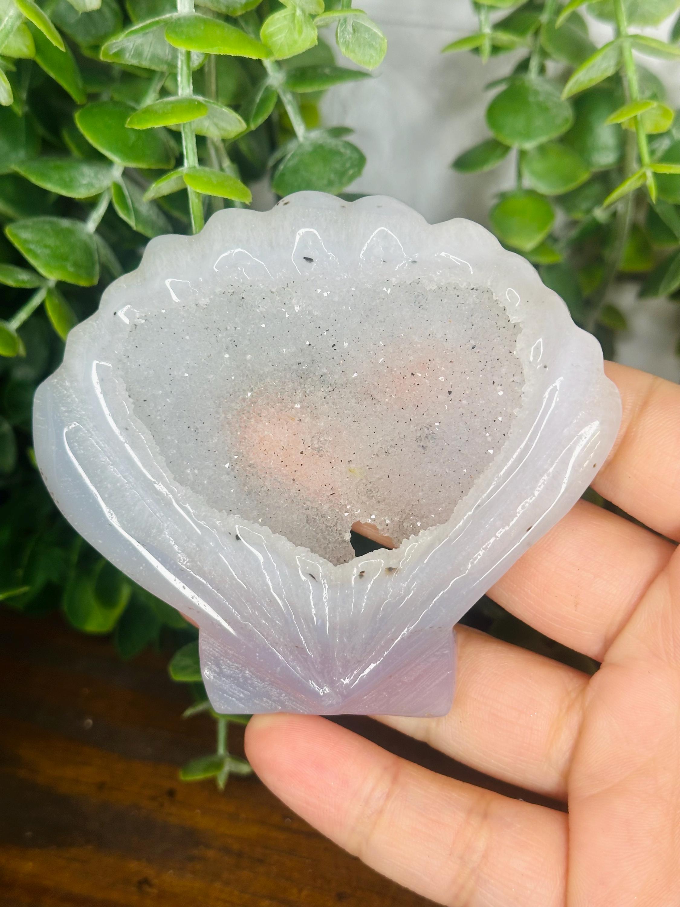 Beautiful Druzy Agate Shell Carving, Druzy Agate Crystal, Crystal Carvings with Druzy, Unique Druzy Shell, Crystals with Sparkles