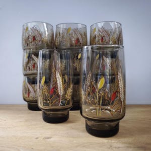 Op de afbeelding: Een set vintage drinkglazen met een tarwe- en bloemenontwerp. De glazen zijn helder met een bruine tint en hebben gele, rode en witte accenten. De glazen zijn gestapeld op een houten oppervlak.