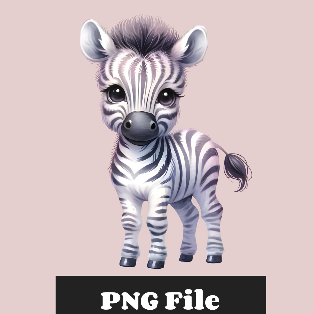 Baby Zebra Clipart, Baby Zebra PNG, Baby Zebra Sublimation, Printable ...