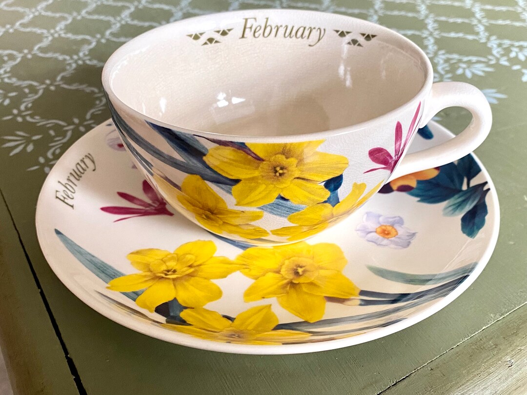 Spode Flowers of the Month Cup & Saucer Etsy