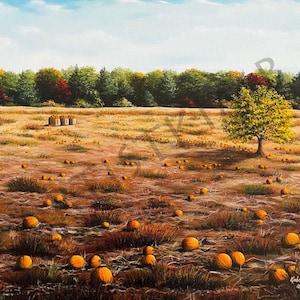 Pumpkin Harvest, MA, 11”x14” Fine Art Print