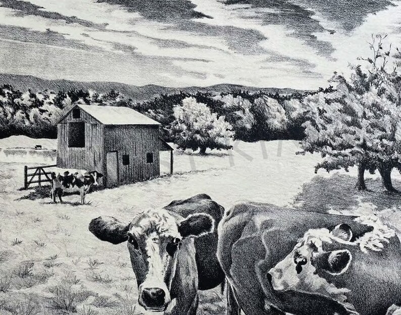 Peut inclure: Un dessin au crayon noir et blanc d'une sc&egrave;ne de ferme avec une grange, des arbres et des vaches. Les vaches sont au premier plan et la grange &agrave; l'arri&egrave;re-plan. Le dessin est r&eacute;alis&eacute; dans un style r&eacute;aliste.