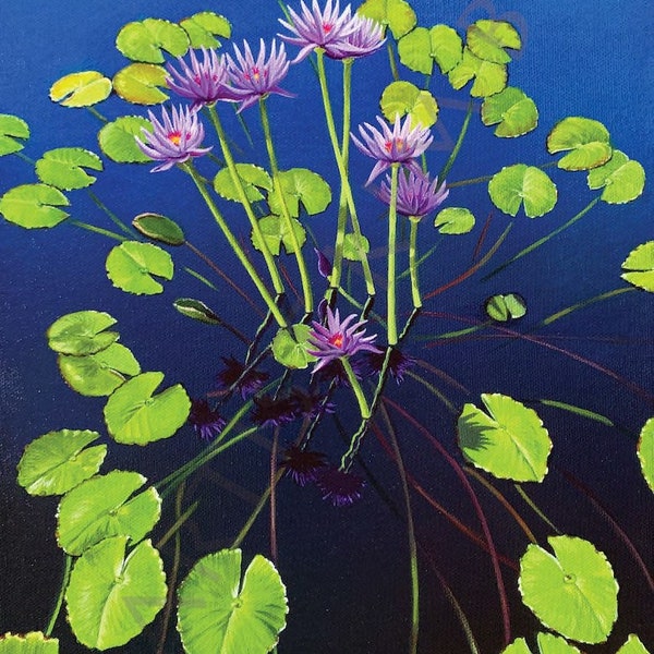 Water Lilies, Denver Botanic Garden, CO.  11” x 14” Fine Art Print