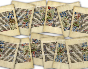 Páginas de manuscritos iluminados, imprimibles, descargables, paquete medieval, diario basura, scrapbooking, decoupage, clipart, papel, efímeras, fondos