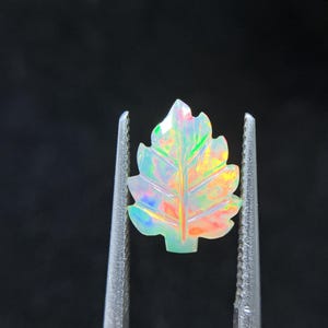 May include: A carved opal gemstone in the shape of a leaf, held by tweezers against a black background. The opal displays a vibrant play of color, including green, orange, and yellow hues. The leaf design features detailed veining and a faceted surface.