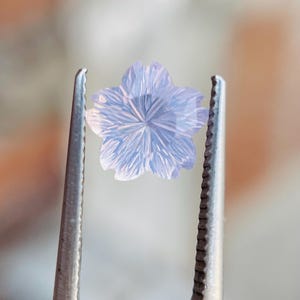 Puede incluir: Una delicada gema azul pálido tallada en forma de flor de cinco pétalos. La gema está sujeta por un par de pinzas plateadas, mostrando sus intrincados detalles y su calidad translúcida. Los pétalos de la flor tienen líneas detalladas que irradian desde el centro.
