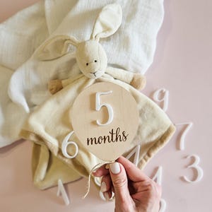 Jalon mensuel pour bébé | Enseigne ballon en bois | Souvenir nouveau-né | Plaque Bonjour le monde | Cadeau personnalisé pour nouveau-né | Cartes jalons bébé fille