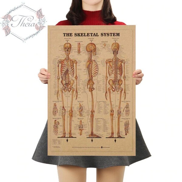 Het skeletsysteem Kraftpapier-poster
