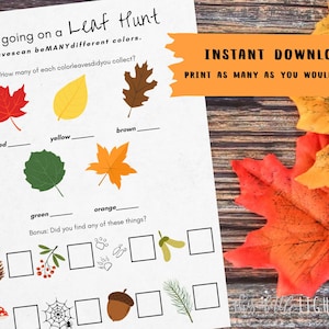 Könnte beinhalten: Ein druckbares Blättersuch-Aktivitätsblatt mit farbenfrohen Blätterillustrationen und Lücken zum Ausfüllen für die Farberkennung. Das Blatt enthält den Text "We're going on a Leaf Hunt" und "Instant Download".
