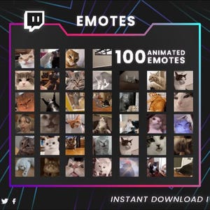 100 Animated Meme Emotes | Funny Cat Meme Emote Pack for Twitch, Kick, Discord | Viral, Cute & Trending GIFs