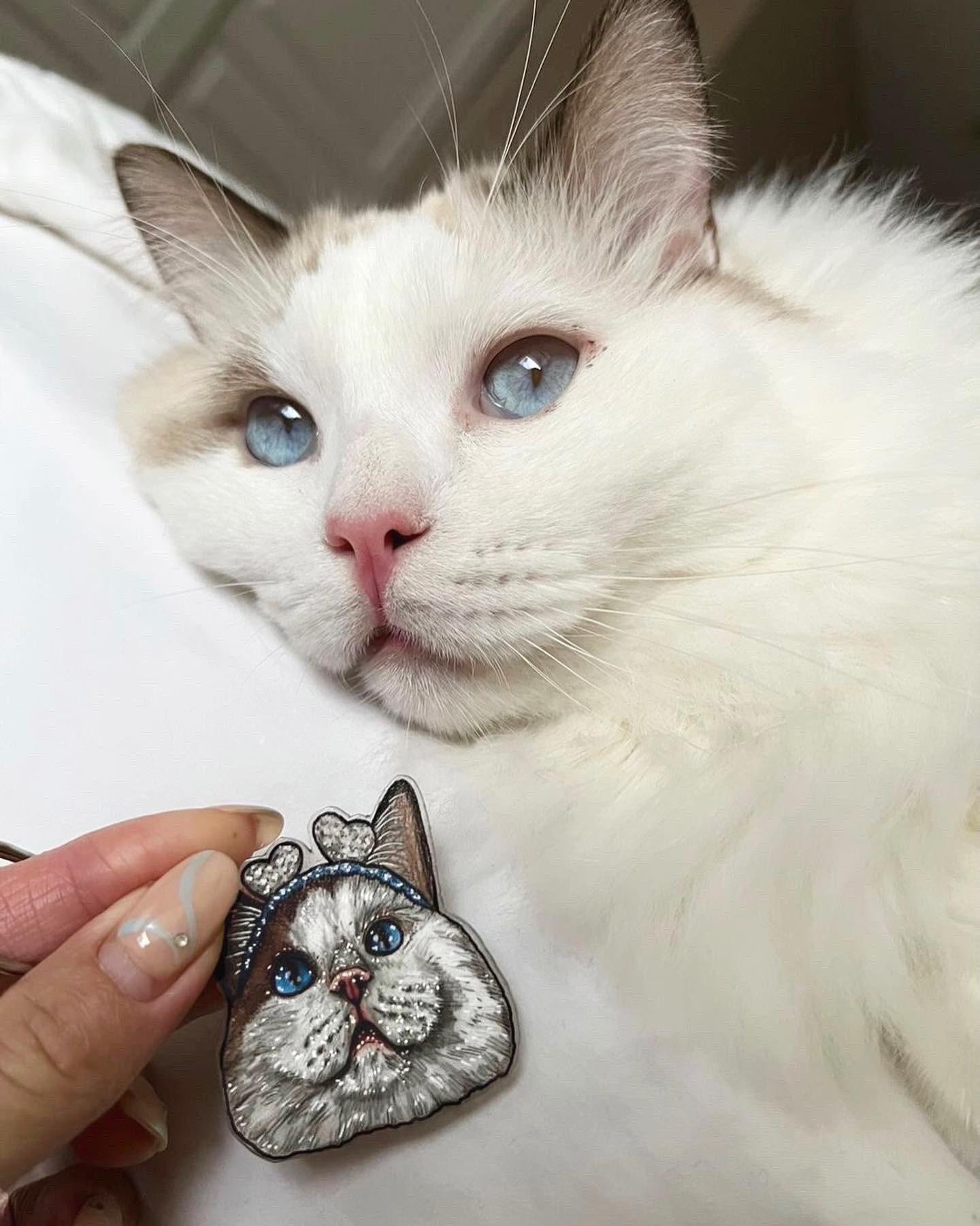 Custom Pet Keyring Custom Pet Gift Cat Drawing Dog Etsy UK