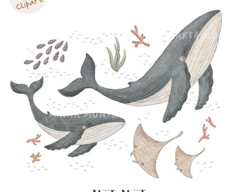 Blue Whale & Manta Ray Clipart: Fabric Iron Transfer, DTF, Sublimation (PNG Digital File)
