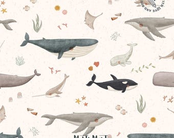 Whale Species Cream Fabric Pattern, Blue Whale, Beluga (Commercial Use) (Digital Download)