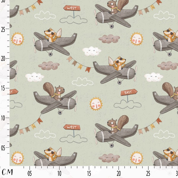 Squirrel and Fox in a Plane Seamless Pattern, Commercial License Use ...