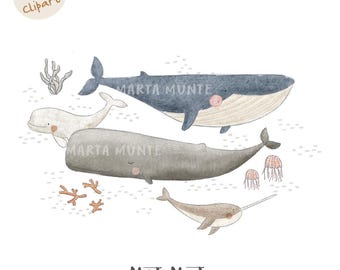 Whale Species Clipart: PNG Iron Transfer, Sublimation File for fabric