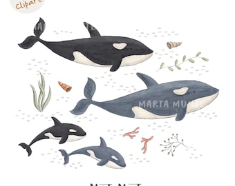 Killer Whale Family Clipart, PNG Iron Transfer, Fabric Sublimation (Digital Download)