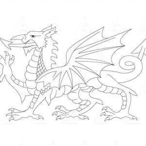 May include: A black and white line drawing of a dragon with wings outstretched. The dragon is facing left and has a long tail curled up behind it.
