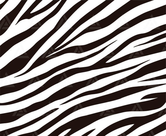 Zebra And Leopard Pattern Mix. Black And White Seamless Background