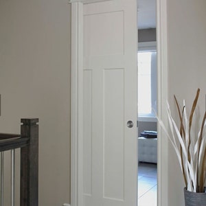 Pocket Door image 3