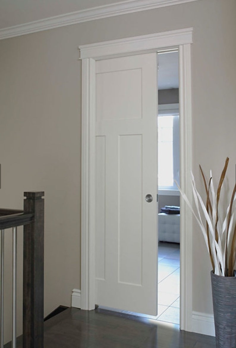 Pocket Door image 3