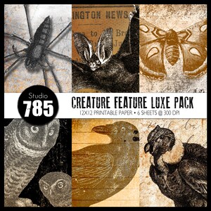 Peut inclure: Un pack de papier numérique avec six feuilles imprimables de 30,5 x 30,5 cm illustrant des images vintage d'une araignée, d'une chauve-souris, d'un papillon de nuit, d'un hibou, d'un corbeau et d'un condor. Le pack est intitulé "Creature Feature Luxe Pack" et est conçu pour l'artisanat et le scrapbooking.